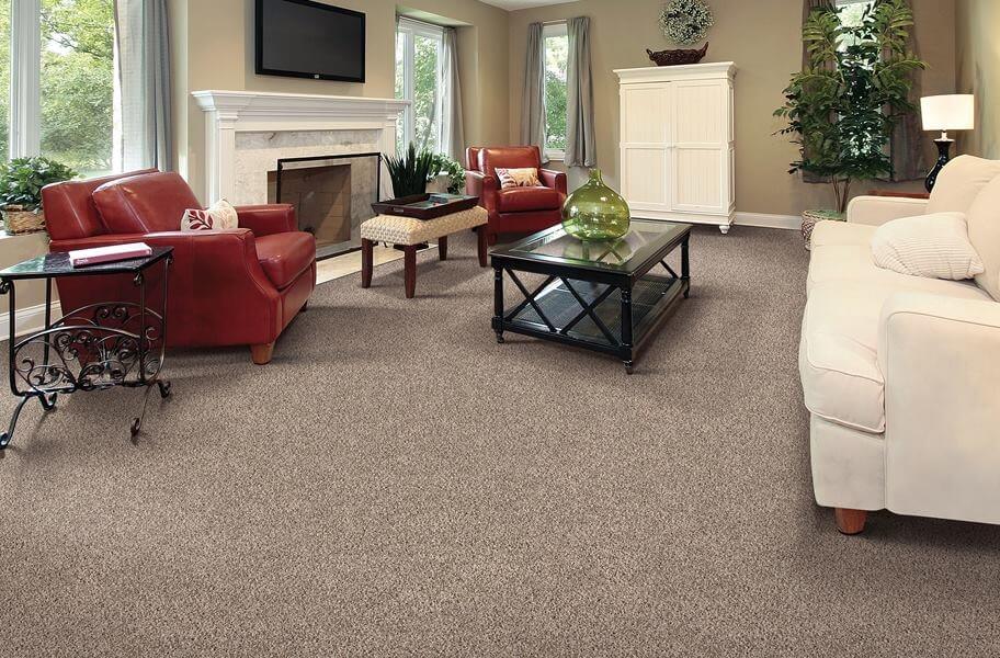 How to Choose the Perfect Wall-to-Wall Carpet for Your Home