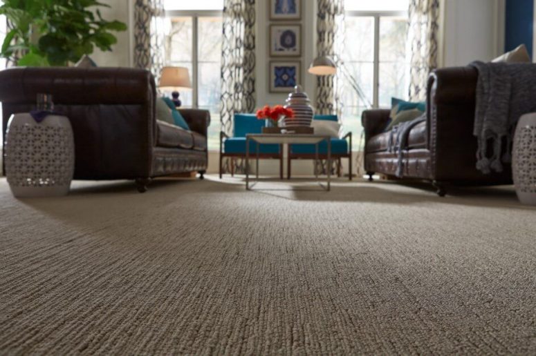 Wall-to-Wall Carpets The Ultimate Guide to Style, Comfort, and Functionality